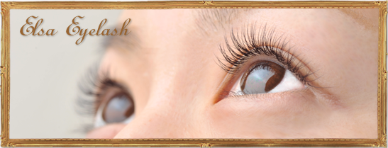 エルザアイラッシュメニュー